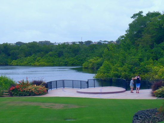 Graeme Hall Nature Sanctuary